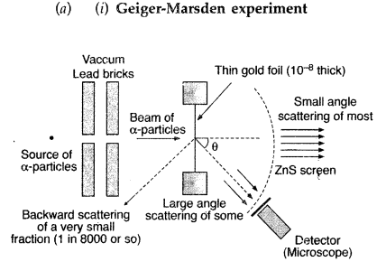 Important Questions for Class 12 Physics Chapter 12 Atoms Class 12 Important Questions 82