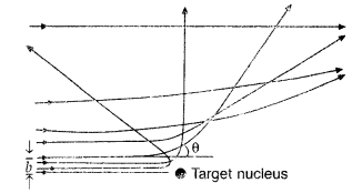 Important Questions for Class 12 Physics Chapter 12 Atoms Class 12 Important Questions 83