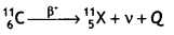 Class 12 Physics Important Questions Chapter 13 Nuclei 13