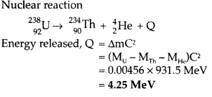 Important Questions for Class 12 Physics Chapter 13 Nuclei Class 12 Important Questions 19