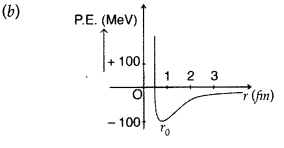 Important Questions for Class 12 Physics Chapter 13 Nuclei Class 12 Important Questions 24