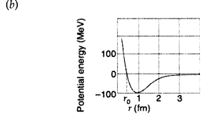 Important Questions for Class 12 Physics Chapter 13 Nuclei Class 12 Important Questions 52