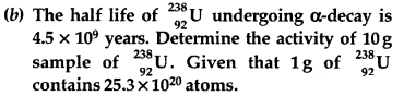 Important Questions for Class 12 Physics Chapter 13 Nuclei Class 12 Important Questions 59