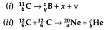 Important Questions for Class 12 Physics Chapter 13 Nuclei Class 12 Important Questions 71