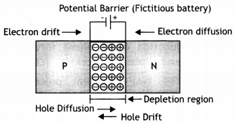 Class 12 Physics Important Questions Chapter 14 Semiconductor Electronics 40