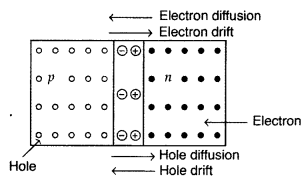 Important Questions for Class 12 Physics Chapter 14 Semiconductor Electronics Materials Devices and Simple Circuits Class 12 Important Questions 159