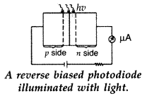 Important Questions for Class 12 Physics Chapter 14 Semiconductor Electronics Materials Devices and Simple Circuits Class 12 Important Questions 31