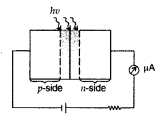 Important Questions for Class 12 Physics Chapter 14 Semiconductor Electronics Materials Devices and Simple Circuits Class 12 Important Questions 47