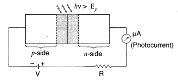 Important Questions for Class 12 Physics Chapter 14 Semiconductor Electronics Materials Devices and Simple Circuits Class 12 Important Questions 99