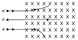 Class 12 Physics Important Questions Chapter 4 Moving Charges and Magnetism 22