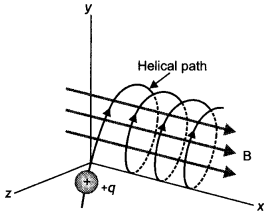 Class 12 Physics Important Questions Chapter 4 Moving Charges and Magnetism 28