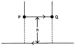 Class 12 Physics Important Questions Chapter 4 Moving Charges and Magnetism 38