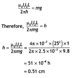 Class 12 Physics Important Questions Chapter 4 Moving Charges and Magnetism 39