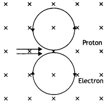 Class 12 Physics Important Questions Chapter 4 Moving Charges and Magnetism 8