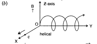 Important Questions for Class 12 Physics Chapter 4 Moving Charges and Magnetism Class 12 Important Questions 102