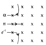 Important Questions for Class 12 Physics Chapter 4 Moving Charges and Magnetism Class 12 Important Questions 121