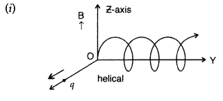 Important Questions for Class 12 Physics Chapter 4 Moving Charges and Magnetism Class 12 Important Questions 17