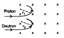 Important Questions for Class 12 Physics Chapter 4 Moving Charges and Magnetism Class 12 Important Questions 178