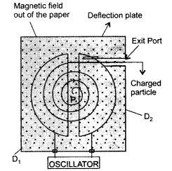 Important Questions for Class 12 Physics Chapter 4 Moving Charges and Magnetism Class 12 Important Questions 187