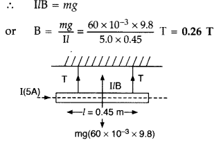 Important Questions for Class 12 Physics Chapter 4 Moving Charges and Magnetism Class 12 Important Questions 218