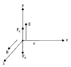 Important Questions for Class 12 Physics Chapter 4 Moving Charges and Magnetism Class 12 Important Questions 45