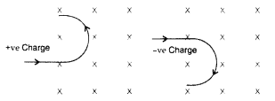 Important Questions for Class 12 Physics Chapter 4 Moving Charges and Magnetism Class 12 Important Questions 5