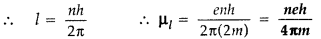 Important Questions for Class 12 Physics Chapter 4 Moving Charges and Magnetism Class 12 Important Questions 64