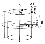 Important Questions for Class 12 Physics Chapter 4 Moving Charges and Magnetism Class 12 Important Questions 65