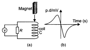 Class 12 Physics Important Questions Chapter 6 Electromagnetic Induction 16