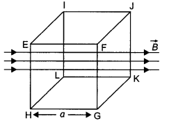 Class 12 Physics Important Questions Chapter 6 Electromagnetic Induction 9