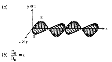 Important Questions for Class 12 Physics Chapter 8 Electromagnetic Waves Class 12 Important Questions 12