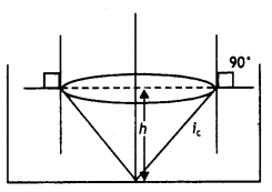 Class 12 Physics Important Questions Chapter 9 Ray Optics and Optical Instruments 100