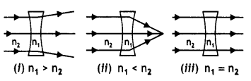 Class 12 Physics Important Questions Chapter 9 Ray Optics and Optical Instruments 113