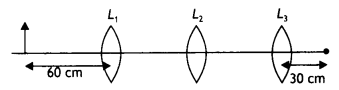 Class 12 Physics Important Questions Chapter 9 Ray Optics and Optical Instruments 119