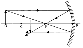 Class 12 Physics Important Questions Chapter 9 Ray Optics and Optical Instruments 19