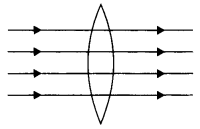 Class 12 Physics Important Questions Chapter 9 Ray Optics and Optical Instruments 2