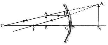 Class 12 Physics Important Questions Chapter 9 Ray Optics and Optical Instruments 29