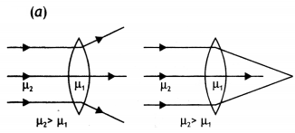 Class 12 Physics Important Questions Chapter 9 Ray Optics and Optical Instruments 34