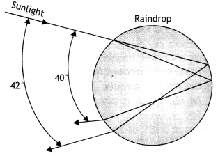 Class 12 Physics Important Questions Chapter 9 Ray Optics and Optical Instruments 36