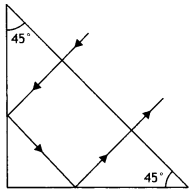 Class 12 Physics Important Questions Chapter 9 Ray Optics and Optical Instruments 5