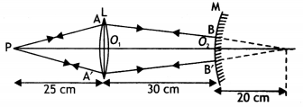 Class 12 Physics Important Questions Chapter 9 Ray Optics and Optical Instruments 51