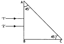 Class 12 Physics Important Questions Chapter 9 Ray Optics and Optical Instruments 92