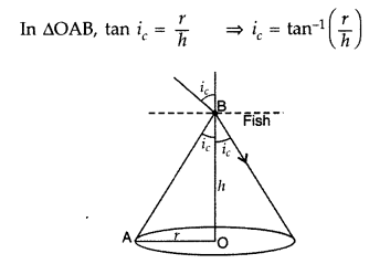 Important Questions for Class 12 Physics Chapter 9 Ray Optics and Optical Instruments Class 12 Important Questions 111