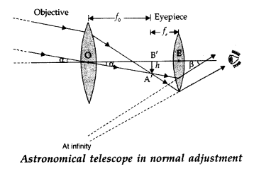 Important Questions for Class 12 Physics Chapter 9 Ray Optics and Optical Instruments Class 12 Important Questions 19