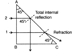 Important Questions for Class 12 Physics Chapter 9 Ray Optics and Optical Instruments Class 12 Important Questions 57