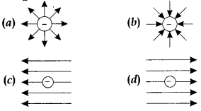 Physics MCQs for Class 12 with Answers Chapter 1 Electric Charges and Fields 2