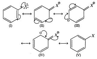 CBSE Sample Papers for Class 12 Chemistry Set 1 with Solutions 9