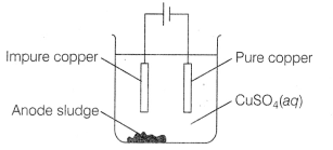 CBSE Sample Papers for Class 12 Chemistry Set 10 with Solutions 1