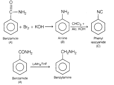 CBSE Sample Papers for Class 12 Chemistry Set 10 with Solutions 34