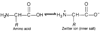 CBSE Sample Papers for Class 12 Chemistry Set 12 with Solutions 12